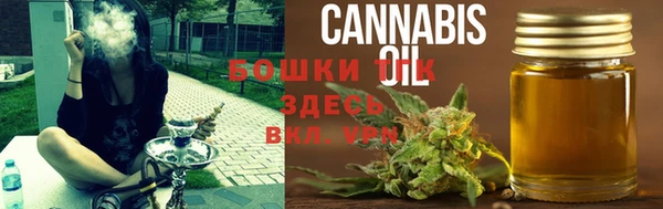 МДПВ Бронницы
