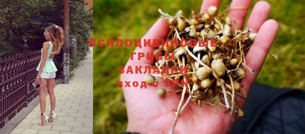 ECSTASY Бугульма